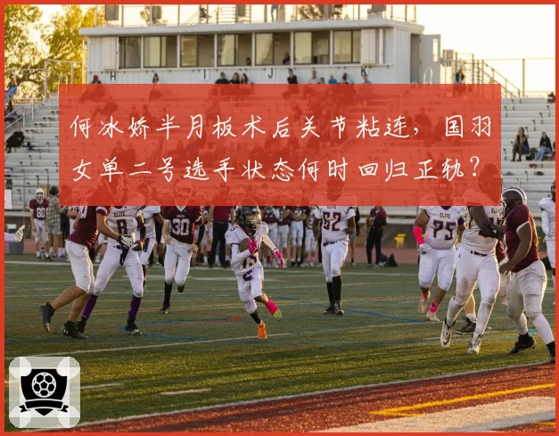 何冰娇半月板术后关节粘连，国羽女单二号选手状态何时回归正轨？