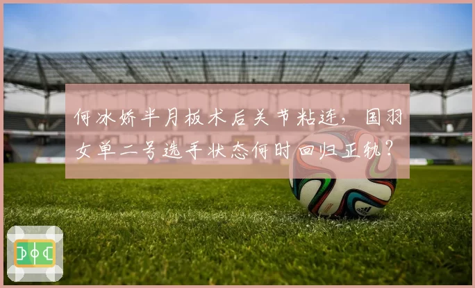 何冰娇半月板术后关节粘连，国羽女单二号选手状态何时回归正轨？